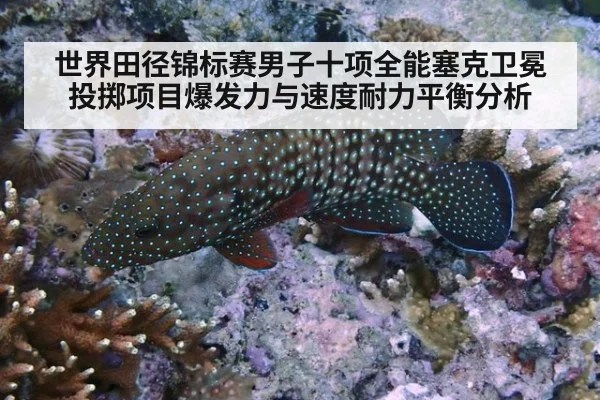 世界田径锦标赛男子十项全能塞克卫冕投掷项目爆发力与速度耐力平衡分析